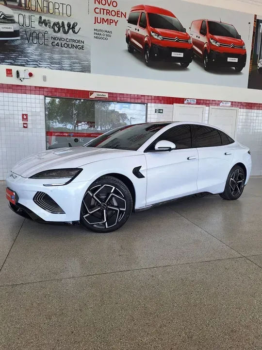 Foto de um byd seal