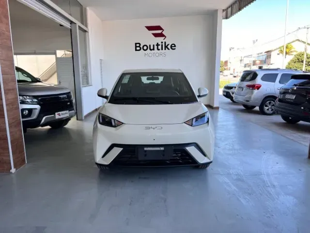 Foto de um byd dolphin mini