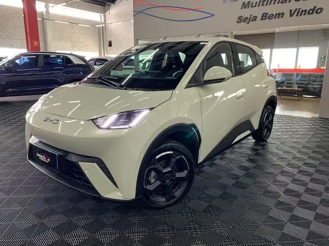 Foto de um byd dolphin mini