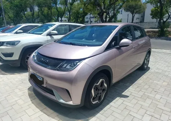 Foto de um byd dolphin