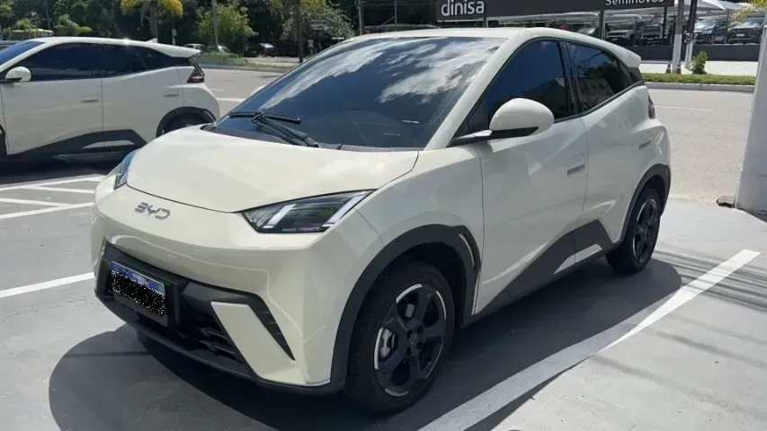 Foto de um byd dolphin