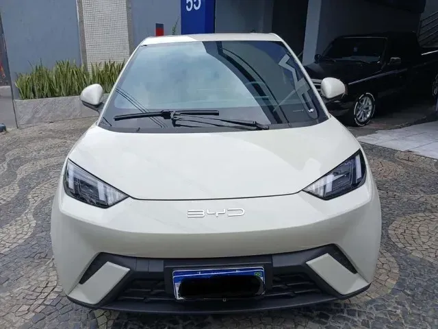 Foto de um byd dolphin