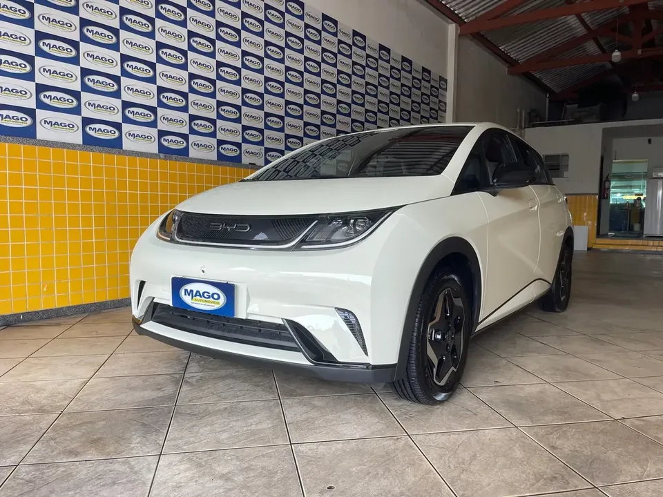 Foto de um byd dolphin
