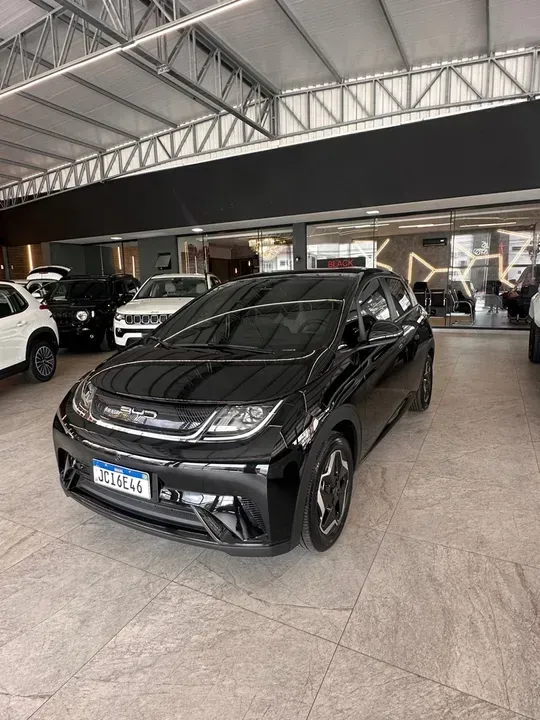 Foto de um byd dolphin