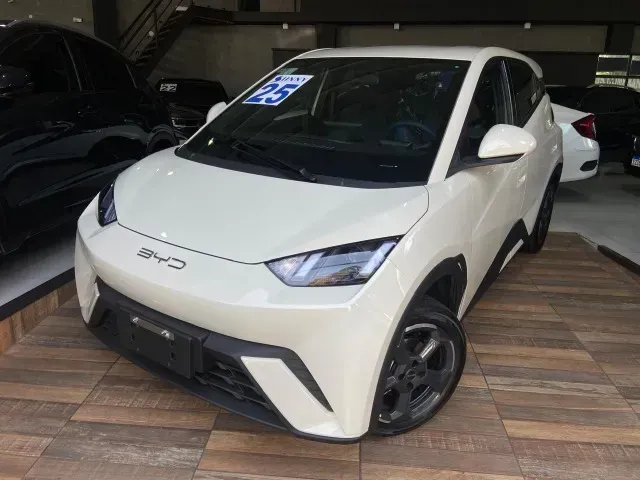 Foto de um byd dolphin