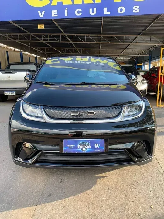 Foto de um byd dolphin