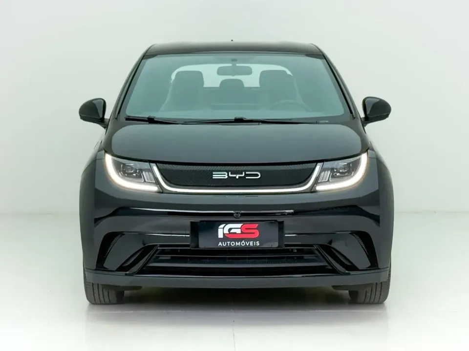 Foto de um byd dolphin