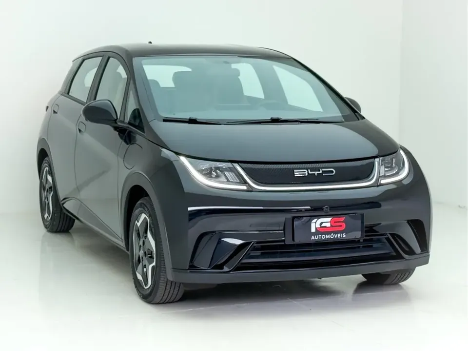 Foto de um byd dolphin