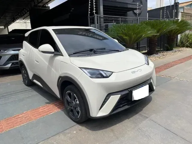 Foto de um byd dolphin