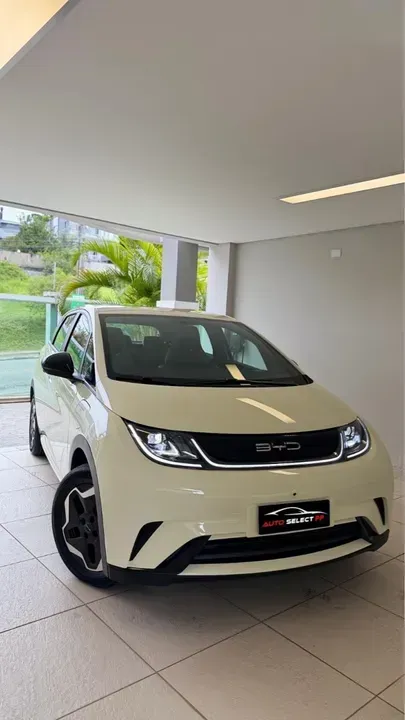 Foto de um byd dolphin