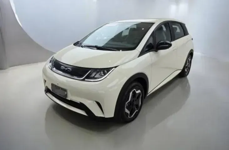 Foto de um byd dolphin plus