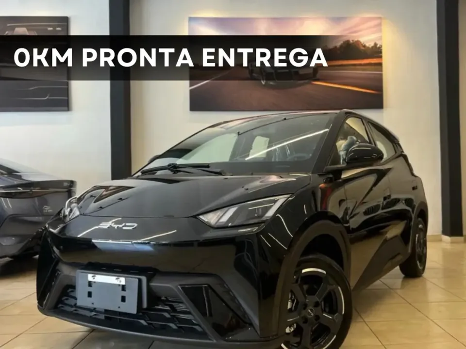 Foto de um byd dolphin mini