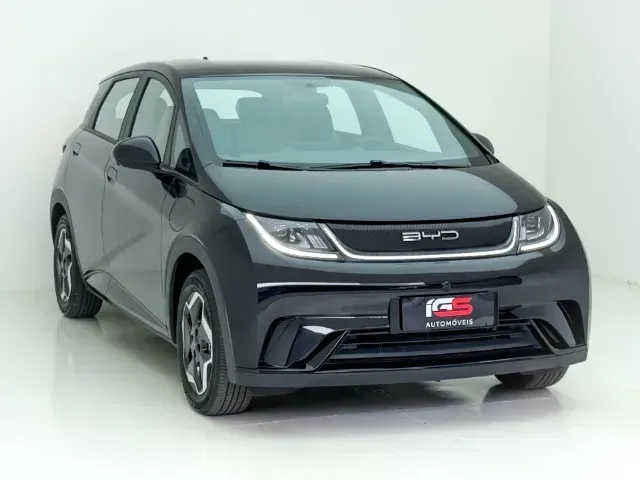 Foto de um byd dolphin