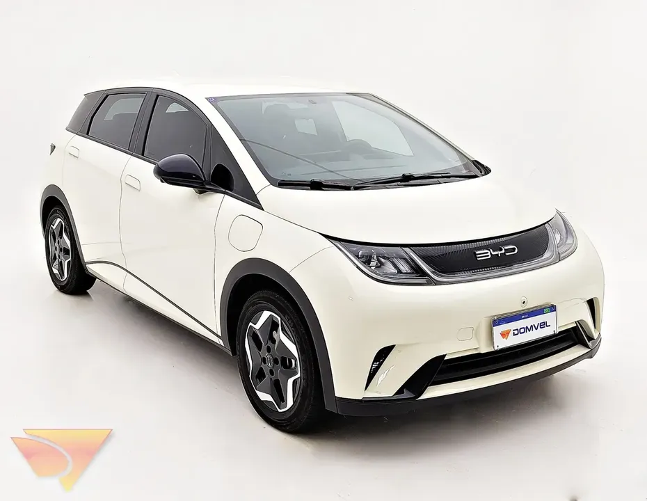 Foto de um byd dolphin