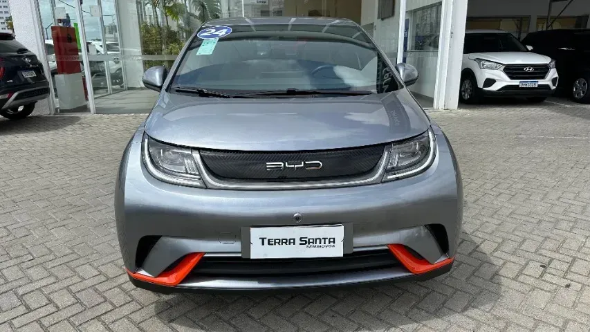 Foto de um byd dolphin