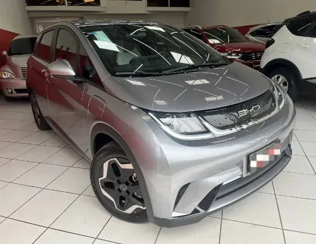 Foto de um byd dolphin