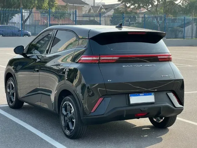 Foto de um byd dolphin