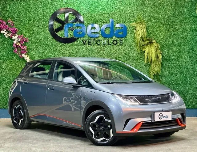 Foto de um byd dolphin