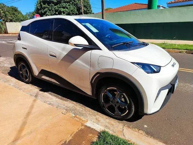 Foto de um byd dolphin mini