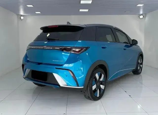 Foto de um byd dolphin