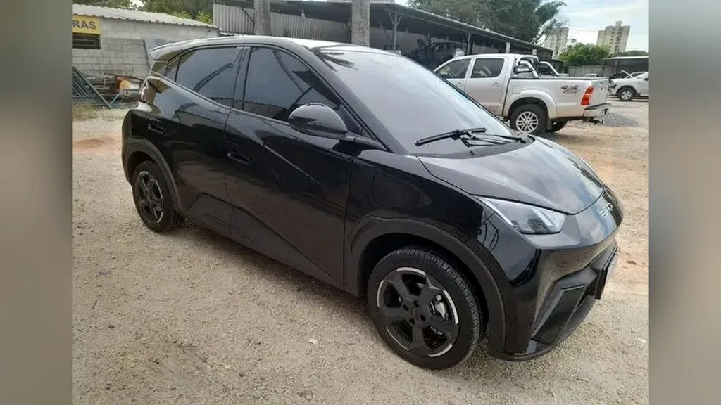 Foto de um byd dolphin mini