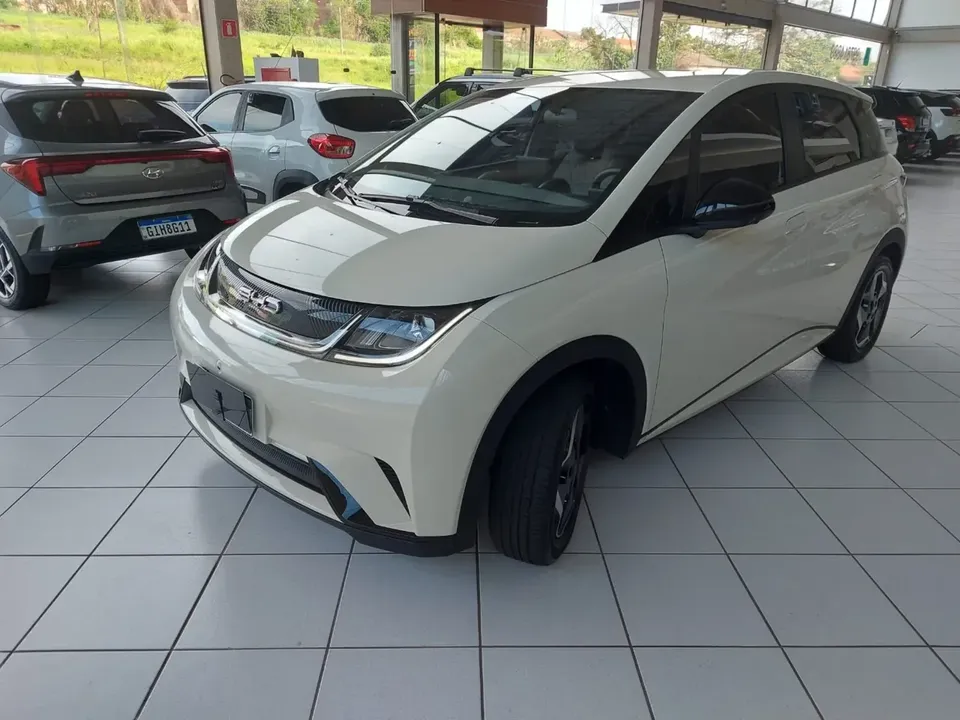 Foto de um byd dolphin