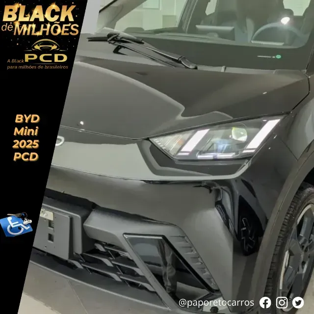 Foto de um byd dolphin mini