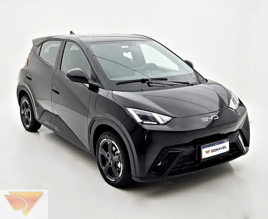 Foto de um byd dolphin mini