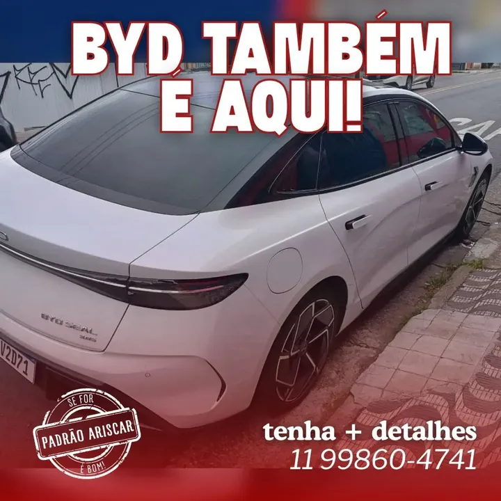 Foto de um byd seal