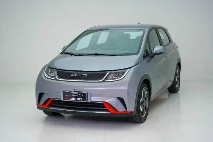 Foto de um byd dolphin