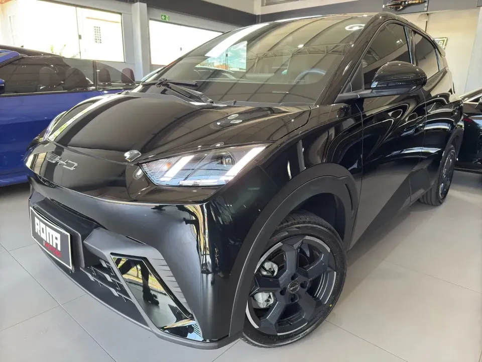 Foto de um byd dolphin