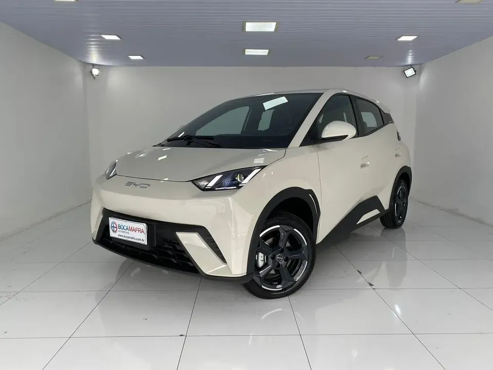 Foto de um byd dolphin mini