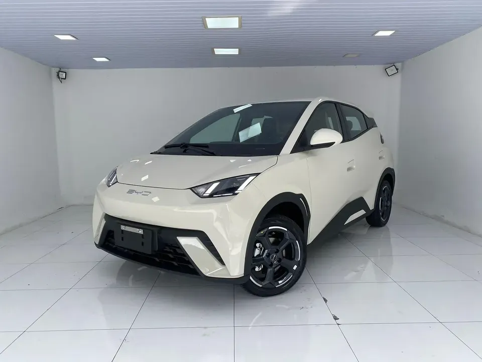 Foto de um byd dolphin mini