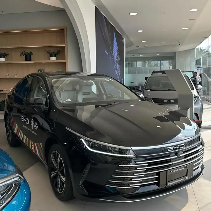Foto de um byd king