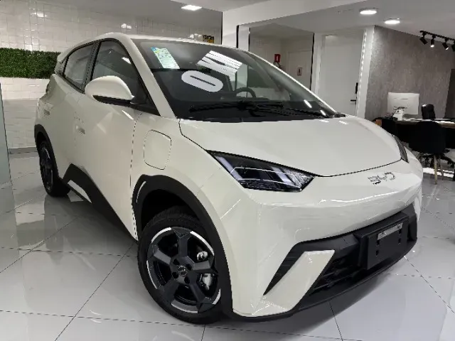 Foto de um byd dolphin