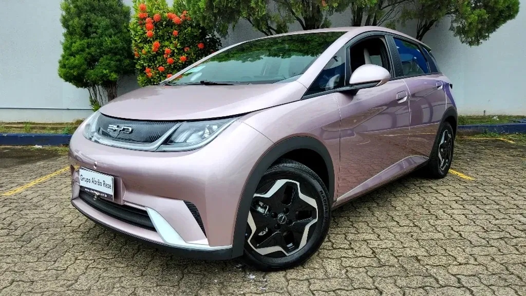 Foto de um byd dolphin