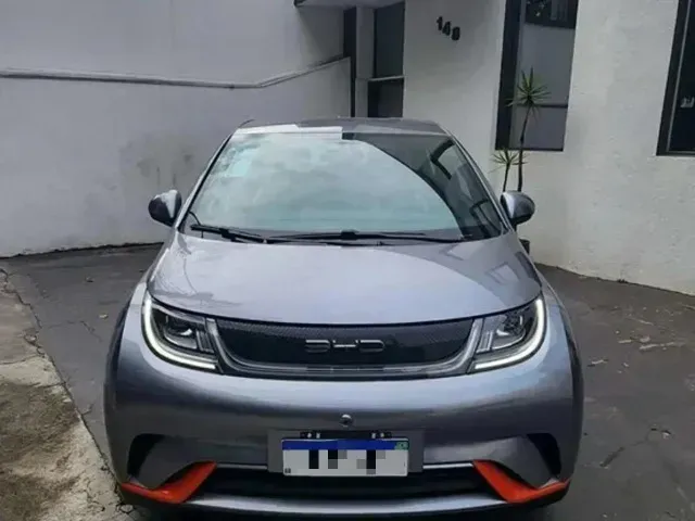 Foto de um byd dolphin