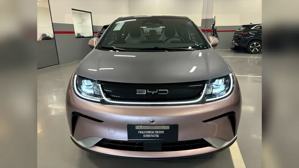 BYD Dolphin Plus