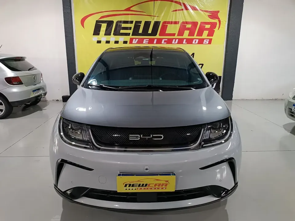 Foto de um byd dolphin plus