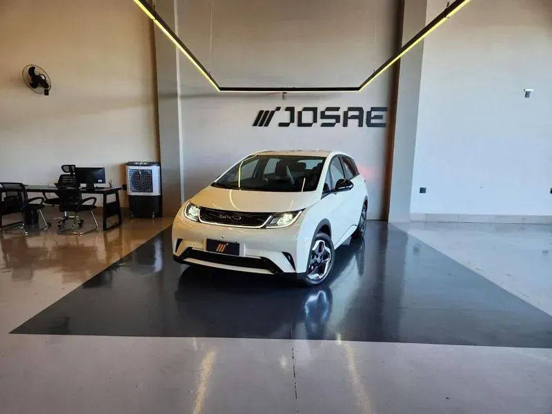 Foto de um byd dolphin