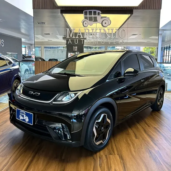 Foto de um byd dolphin