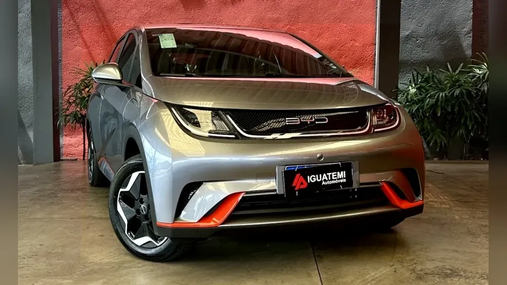 Foto de um byd dolphin