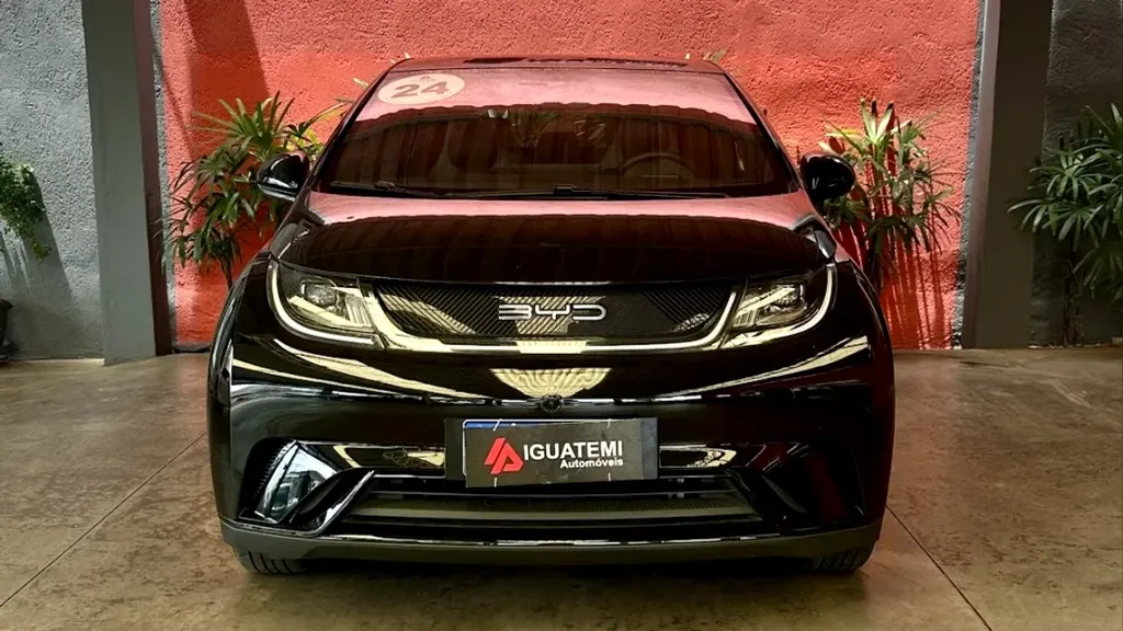 Foto de um byd dolphin