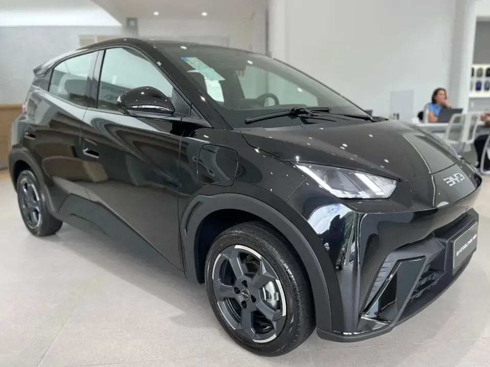 Foto de um byd dolphin mini