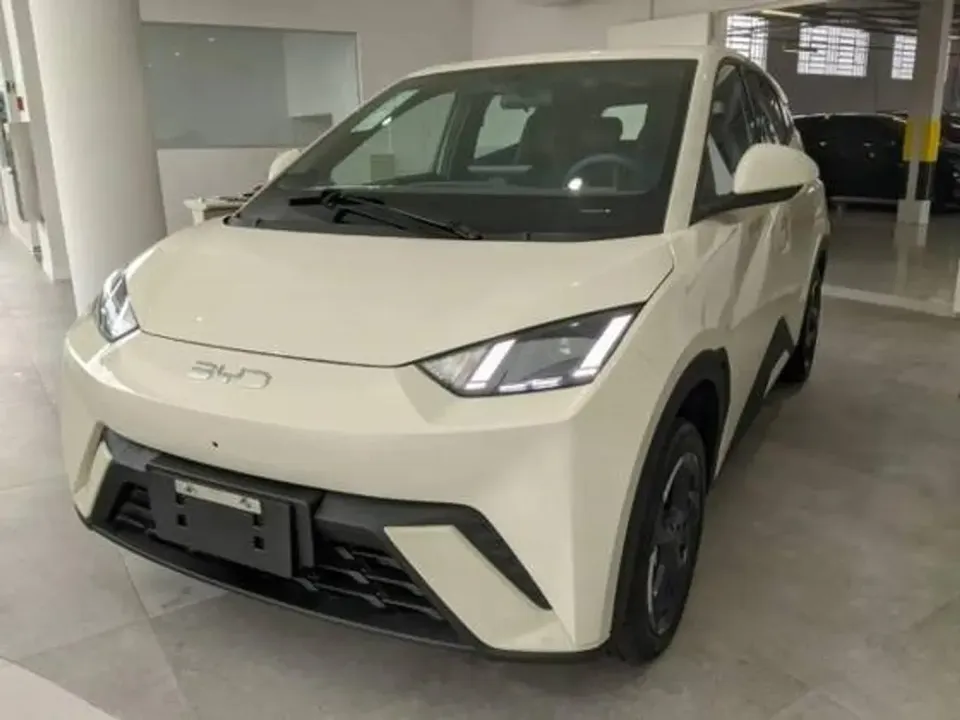 Foto de um byd dolphin mini