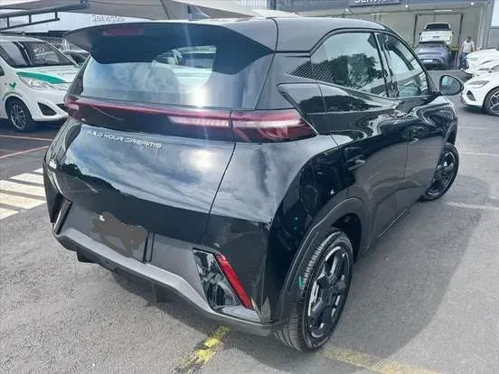 Foto de um byd dolphin
