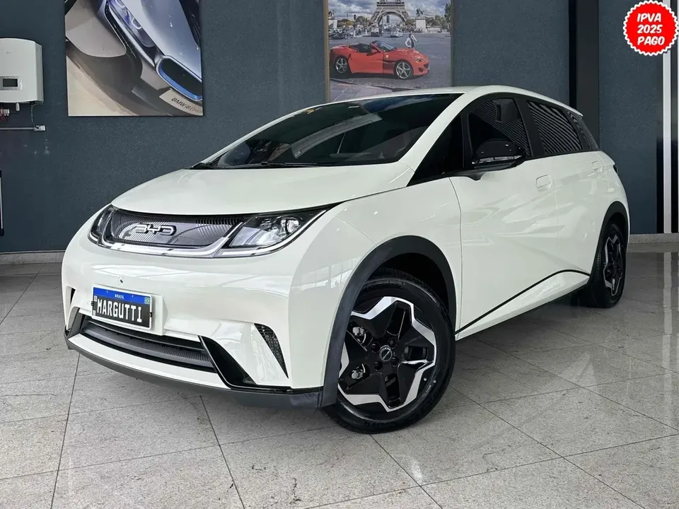 Foto de um byd dolphin