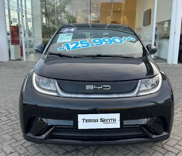 Foto de um byd dolphin