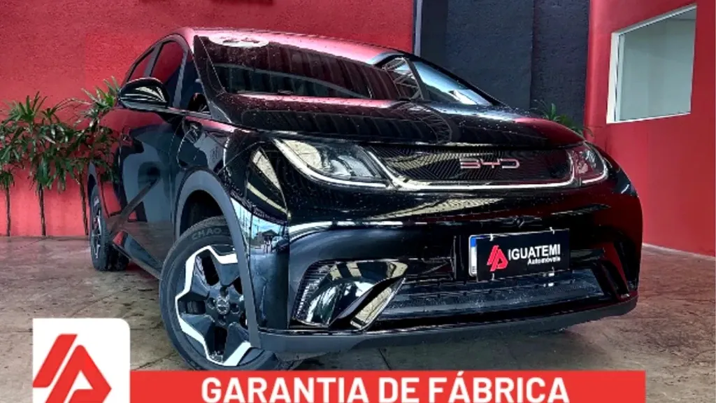 Foto de um byd dolphin