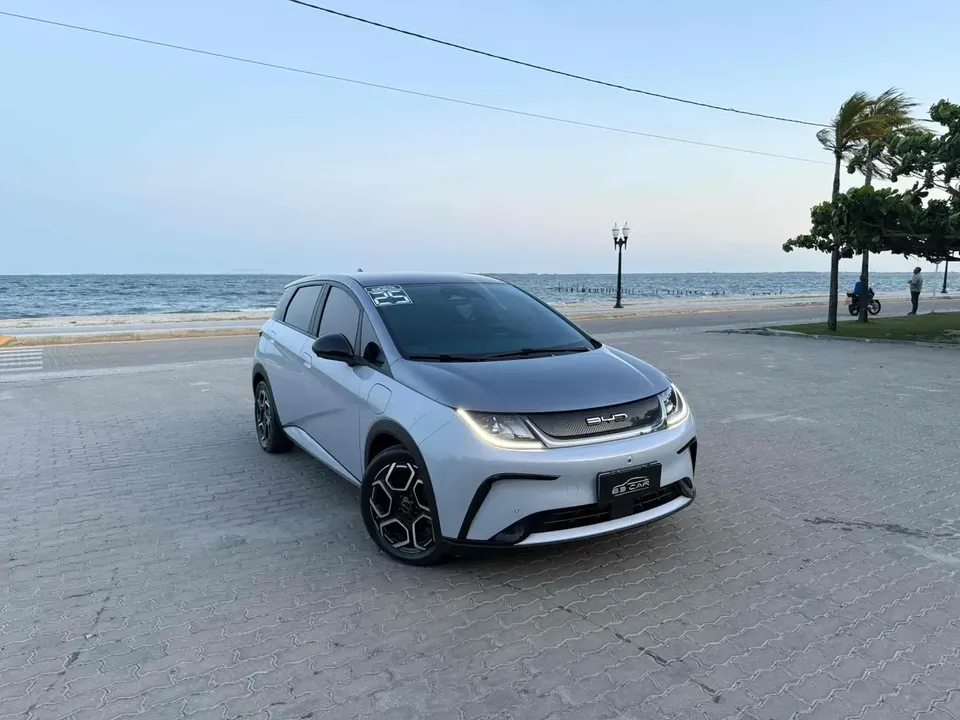 Foto de um byd dolphin plus
